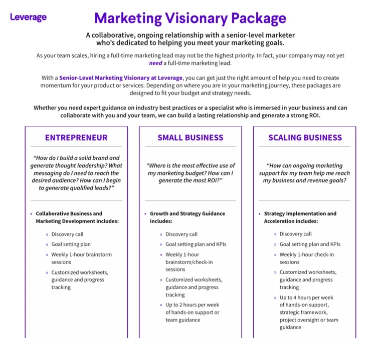 The Leverage Marketing Visionary Package one-pager: three tiers for entrepreneur, small business and scaling business, each listing a discovery call, goal setting, weekly sessions and hands-on hours, with rates redacted