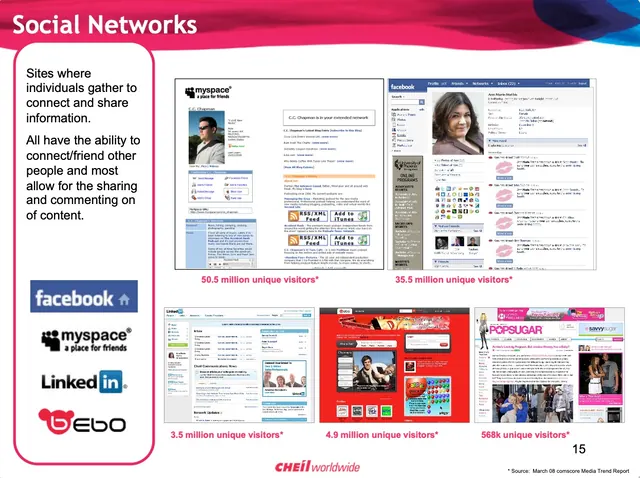 Social Networks slide comparing platform audiences in 2008